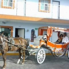 Hotel Plaza Bandera спортивное сооружение