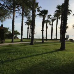 Отель Champion Holiday Village пляж фото 2