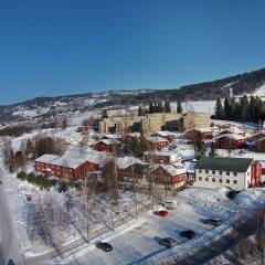 Birkebeineren Hotel & Apartments бассейн