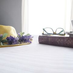Апартаменты Lotus Center Apartments комната для гостей фото 2