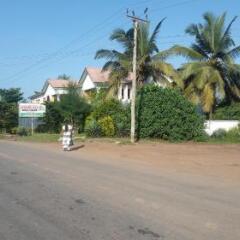Отель Almond Tree Guest House с домашними животными