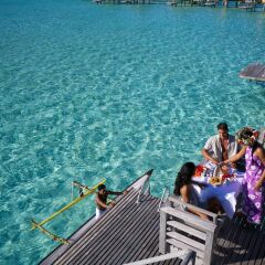 Отель InterContinental Le Moana Resort Bora Bora с домашними животными