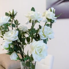 Отель Saint Julian's - Spinola Bay Apartment Мальта, Сан Джулианс - отзывы, цены и фото номеров - забронировать отель Saint Julian's - Spinola Bay Apartment онлайн интерьер отеля фото 2