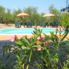 Отель Agriturismo Martignana Alta Эмполи фото 5