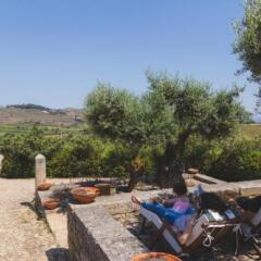 Отель Quinta da Barroca Португалия, Армамар - отзывы, цены и фото номеров - забронировать отель Quinta da Barroca онлайн фото 11