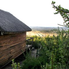 Отель Addo Dung Beetle Guest Farm пляж