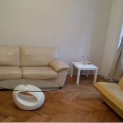 Отель Sobieski City Apartment 9 Австрия, Вена - отзывы, цены и фото номеров - забронировать отель Sobieski City Apartment 9 онлайн комната для гостей фото 3