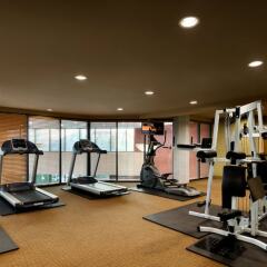 Отель Executive Hotel & Conference Center, Burnaby Канада, Бурнаби - отзывы, цены и фото номеров - забронировать отель Executive Hotel & Conference Center, Burnaby онлайн фитнесс-зал