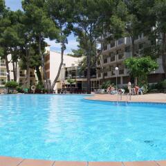 Hotel Best Sol d'Or бассейн фото 2