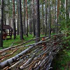 Парк-Отель Евразия фото 3