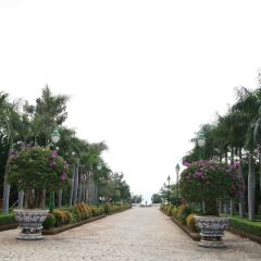 Отель Long Hai Beach Resort городской автобус