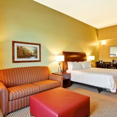 Отель Hilton Garden Inn Ottawa Airport Канада, Оттава - отзывы, цены и фото номеров - забронировать отель Hilton Garden Inn Ottawa Airport онлайн комната для гостей фото 2
