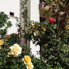 Отель Apartkomplex Sorrento Sole Mare Свети Влас фото 3