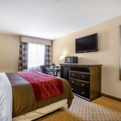Отель Comfort Inn Monterey Park Монтерей-Парк комната для гостей фото 3