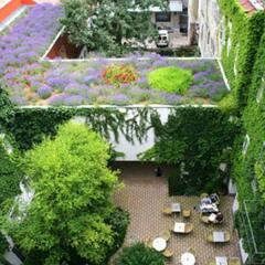 Отель Boutiquehotel Stadthalle Вена фото 15