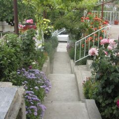 Отель Vila Tsonevi Болгария, Балчик - отзывы, цены и фото номеров - забронировать отель Vila Tsonevi онлайн фото 4