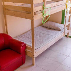 Отель Backpacker Accommodation детские мероприятия фото 3