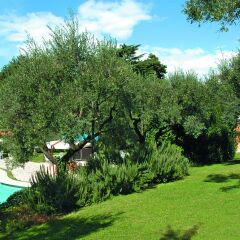 Grand Hotel Villa Fiorio фото 3