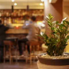 Отель Soho Hotel Греция, Афины - 2 отзыва об отеле, цены и фото номеров - забронировать отель Soho Hotel онлайн питание фото 3