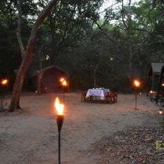 Отель Mahoora Tented Safari Camp - Kumana Шри-Ланка, Яла - отзывы, цены и фото номеров - забронировать отель Mahoora Tented Safari Camp - Kumana онлайн фото 13