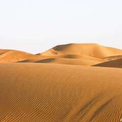 Отель Mercure Grand Jebel Hafeet Al Ain Hotel ОАЭ, Эль-Айн - отзывы, цены и фото номеров - забронировать отель Mercure Grand Jebel Hafeet Al Ain Hotel онлайн приотельная территория фото 2