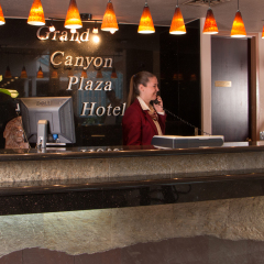 Отель Grand Canyon Plaza Hotel США, Гранд-Каньон - отзывы, цены и фото номеров - забронировать отель Grand Canyon Plaza Hotel онлайн гостиничный бар