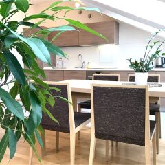 Отель Vilnius Apartments & Suites - Town Hall Литва, Вильнюс - отзывы, цены и фото номеров - забронировать отель Vilnius Apartments & Suites - Town Hall онлайн балкон