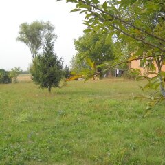 Отель Agriturismo Campi di Grano Ронкаде фото 3