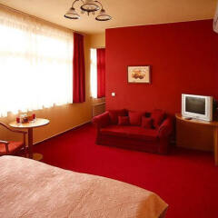Hotel Paganini Мельник детские мероприятия