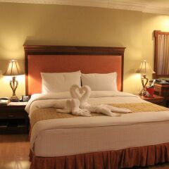 Отель Savannah Resort Hotel Филиппины, Пампанга - отзывы, цены и фото номеров - забронировать отель Savannah Resort Hotel онлайн комната для гостей фото 2