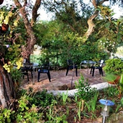 Отель Hostal Magnolia Испания, Льорет-де-Мар - отзывы, цены и фото номеров - забронировать отель Hostal Magnolia онлайн фото 5