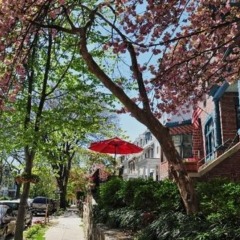 Отель Kalorama Guest House США, Вашингтон - отзывы, цены и фото номеров - забронировать отель Kalorama Guest House онлайн фото 8