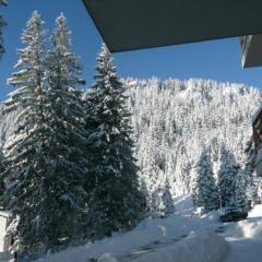 Отель Aparthotel Pine Hills Pamporovo Пампорово фото 13