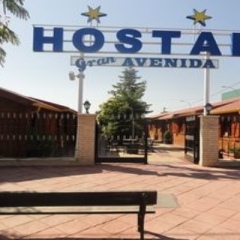 Отель Hostal Gran Avenida Саэлисес фото 15