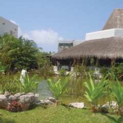 Отель Desire Riviera Maya Pearl Resort All Inclusive- Couples Only фото 9