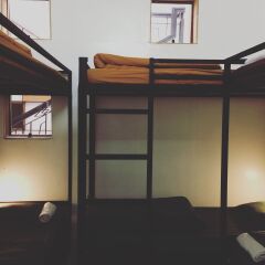 Yolo Hostel N Bar Далат комната для гостей