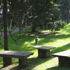 Hotel Tiziano Park & Vita Parcour - Gruppo Minihotel фото 6
