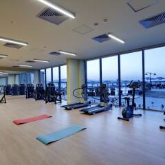 Отель Euphoria Aegean Resort & Spa All Inclusive Сыгаджик фитнесс-зал