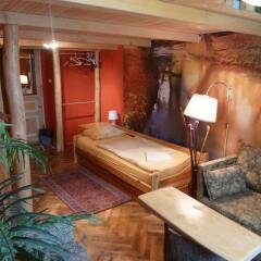Отель Pension & Hostel Artharmony Чехия, Прага - 8 отзывов об отеле, цены и фото номеров - забронировать отель Pension & Hostel Artharmony онлайн комната для гостей фото 2