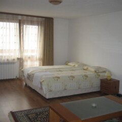 Отель Guest Rooms Vachin Болгария, Банско - отзывы, цены и фото номеров - забронировать отель Guest Rooms Vachin онлайн комната для гостей фото 5