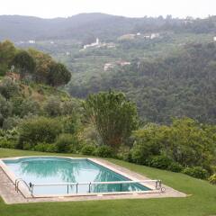 Отель Quinta Das Escomoeiras Амаранте бассейн