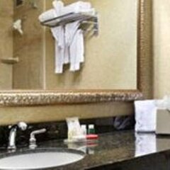 Ramada Plaza Hotel And Conference Center Колумбус ванная фото 2