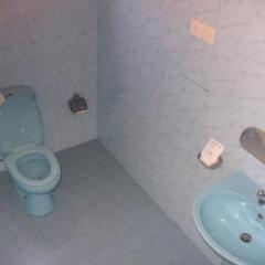 Отель Seagreen Guesthouse Шри-Ланка, Галле - отзывы, цены и фото номеров - забронировать отель Seagreen Guesthouse онлайн ванная фото 2