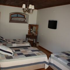 Hera Boutique Hotel - Boutique Class Турция, Дикили - отзывы, цены и фото номеров - забронировать отель Hera Boutique Hotel - Boutique Class онлайн удобства в номере