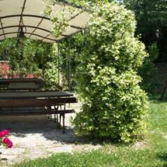 Отель Agriturismo Case Mori Римини фото 19