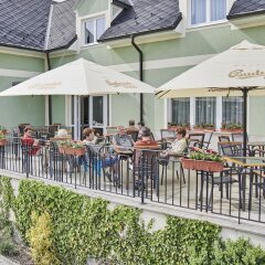 Hotel Komorni Hurka Хеб бассейн фото 3