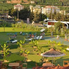 Отель Kleopatra Royal Palm Аланья спортивное сооружение