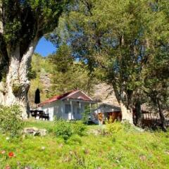 Отель Tioga Lodge Ли Вайнинг фото 15