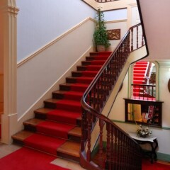 Отель Grande Hotel de Paris Португалия, Порту - 1 отзыв об отеле, цены и фото номеров - забронировать отель Grande Hotel de Paris онлайн фото 12