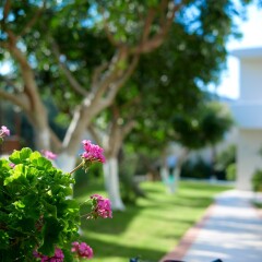 Eurohotel Katrin Hotel & Bungalows – All Inclusive фото 4